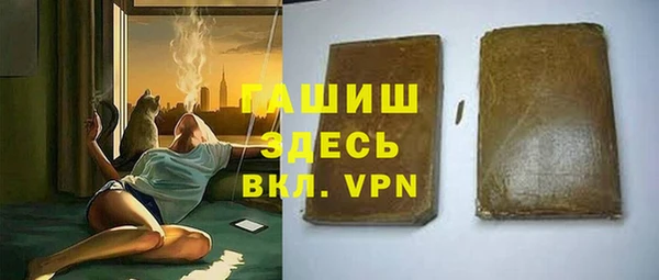хмурый Алексин