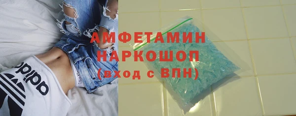 хмурый Алексин