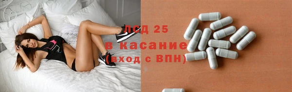 хмурый Алексин