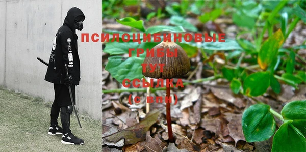 хмурый Алзамай