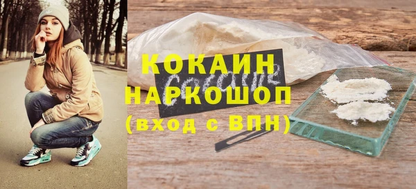 хмурый Алзамай