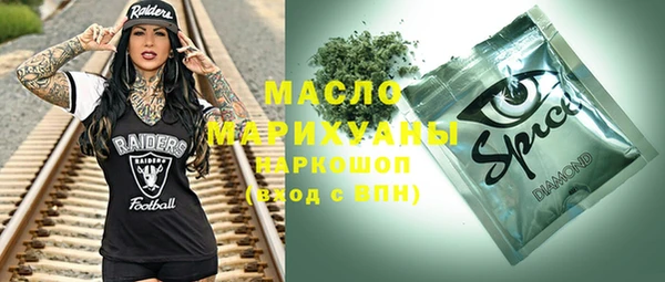 хмурый Алексин