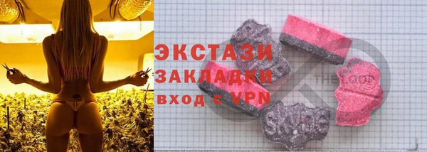 хмурый Алексин