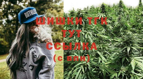 хмурый Алзамай